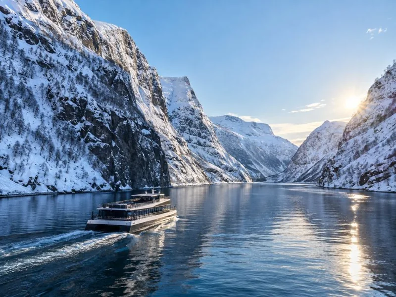 Bergen Winter Tour: Nærøyfjord Cruise, Flåm & Stegastein